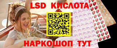стафф Краснодар