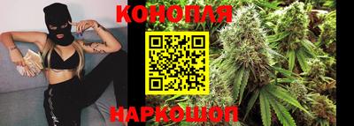 стафф Краснодар