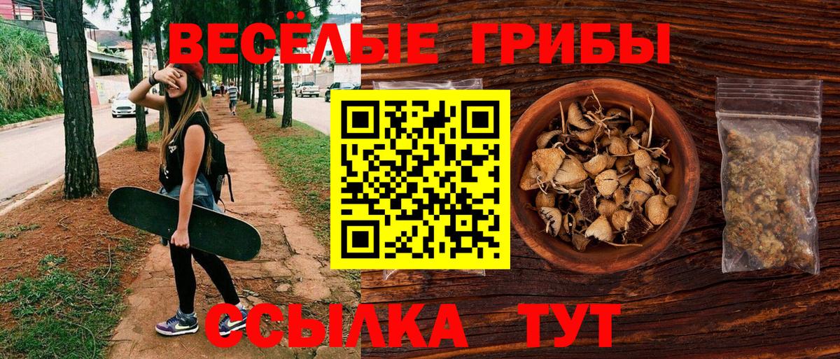 Галлюциногенные грибы ЛСД  Вход с VPN  Шелехов  Галлюциногенные грибы MAGIC MUSHROOMS 